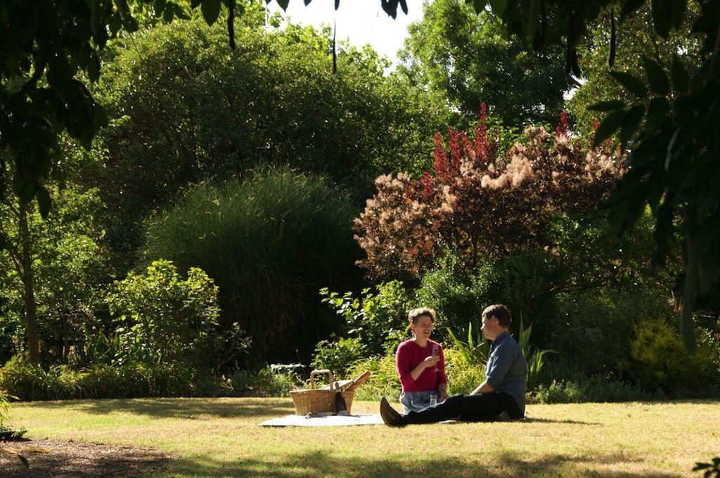 Alexandra Farmstay מראה חיצוני תמונה